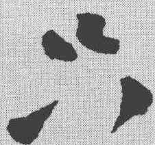 只,陸遊 ,書法字典